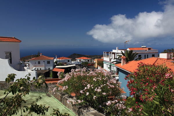 Los Canarios Hans en Gina Mom